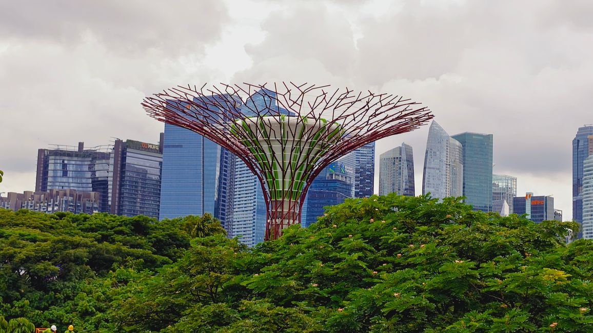 Gardens by the Bay