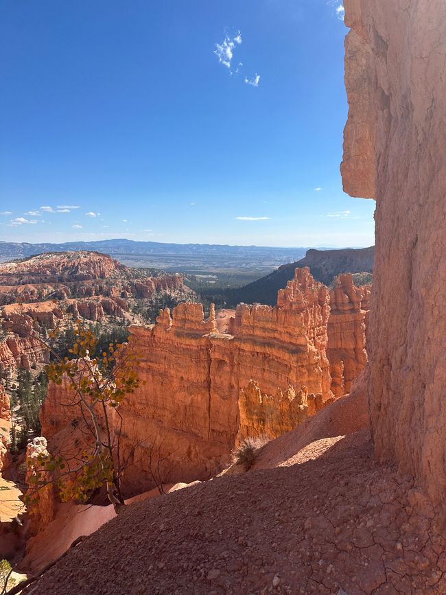 Canyon Land:Zion and  Bryce Canyon❤️