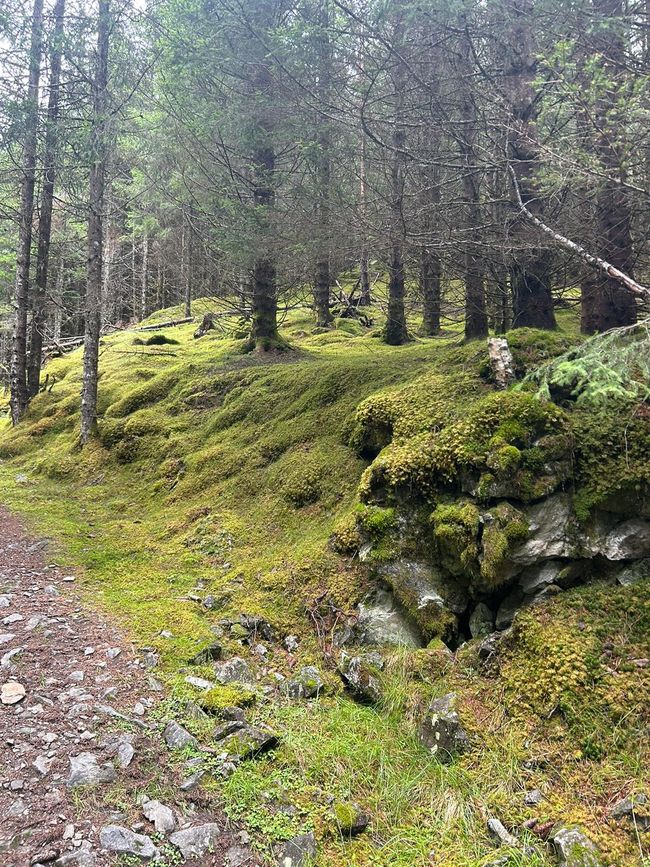 Etiqueta 9 y 10 - ¡Oh, un fiordo! Ulvik en el Eidfjord