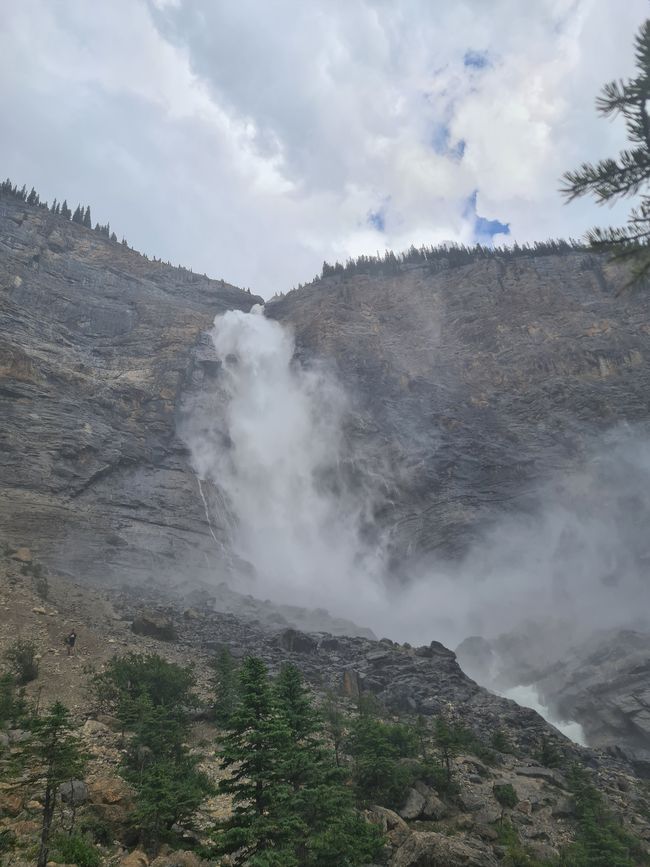 Canmore (Yoho) - Bears and Waterfalls