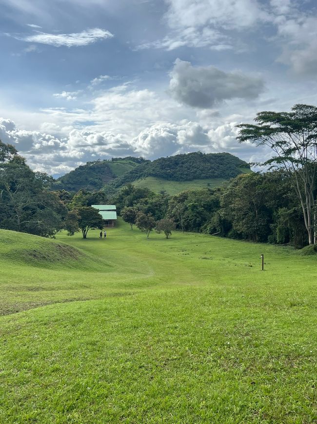 Tag 7 (14.10.): 
4. "Parque Arqueológico
Alto de los Ídolos"