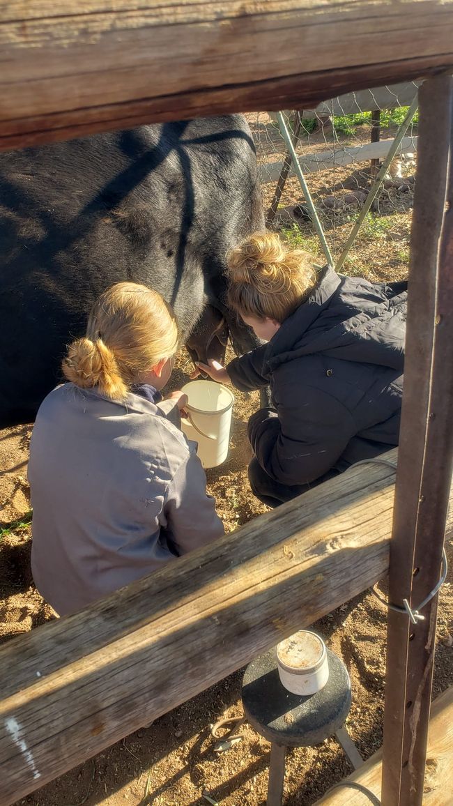 Namibia 2k25 🦓🏜️🐘