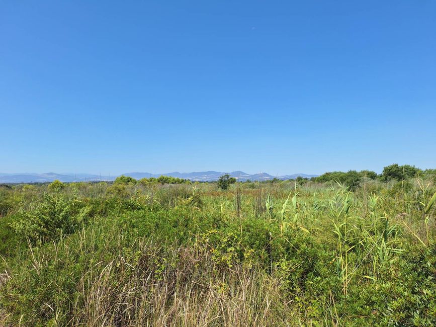 Gargano und Punta Lunga