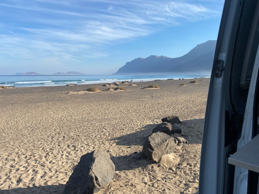 La naturaleza siempre encuentra un lugar