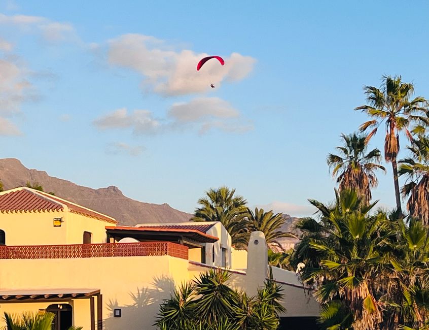 We couldn’t bring ourselves to take the 'flight' from Teide down to La Caleta