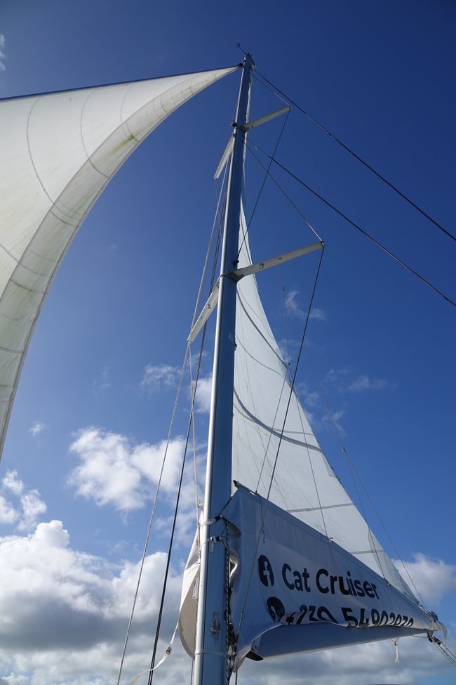 Con el catamarán ....