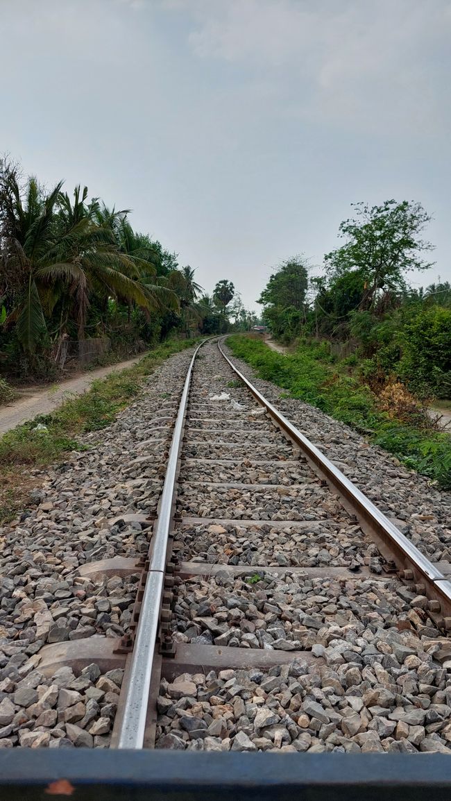 Tracé du train en bambou