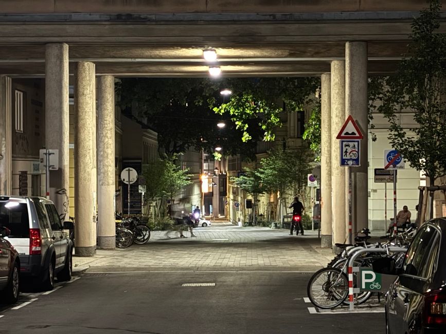 Viena