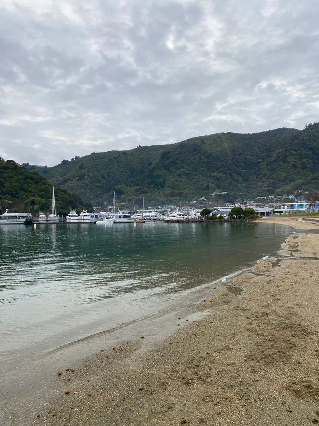 Bays in Picton