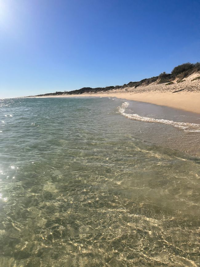 A day in Yanchep Lagoon: Western Australia you are DIFFERENT 🤩❤️