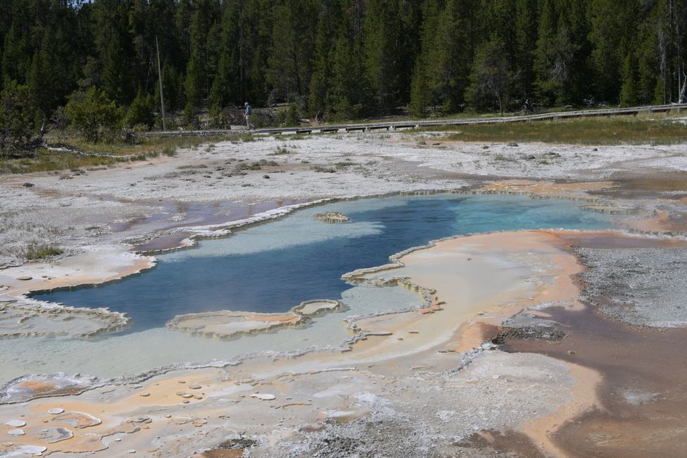 Bassin supérieur des geysers - Sur la colline des geysers
