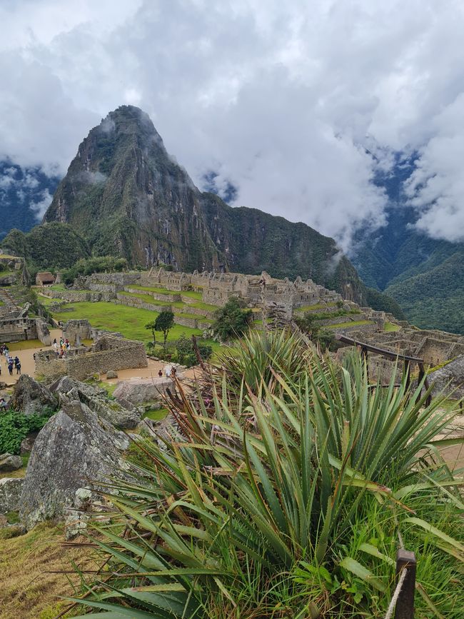 Day 22 to 27 Machu Picchu and Corona