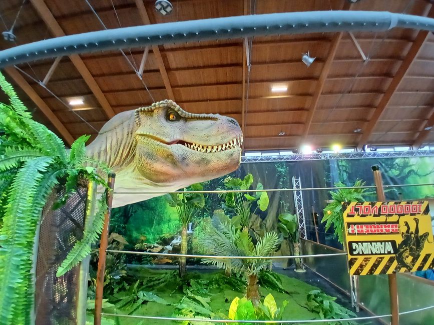 Dino Fever in Friedrichshafen: An Honest Look into the "Kingdom of Dinosaurs"