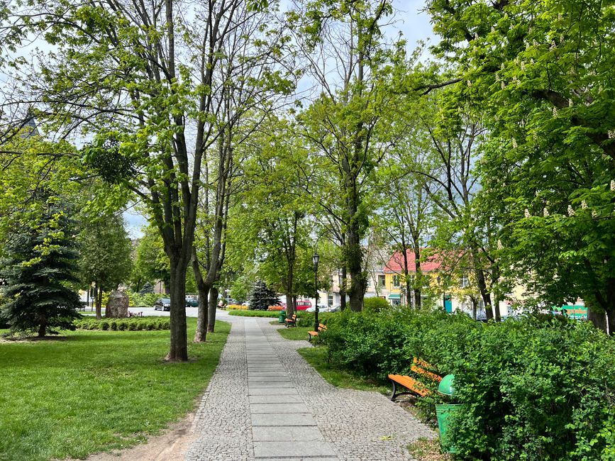 27 to Ostrów Mazowiecka
