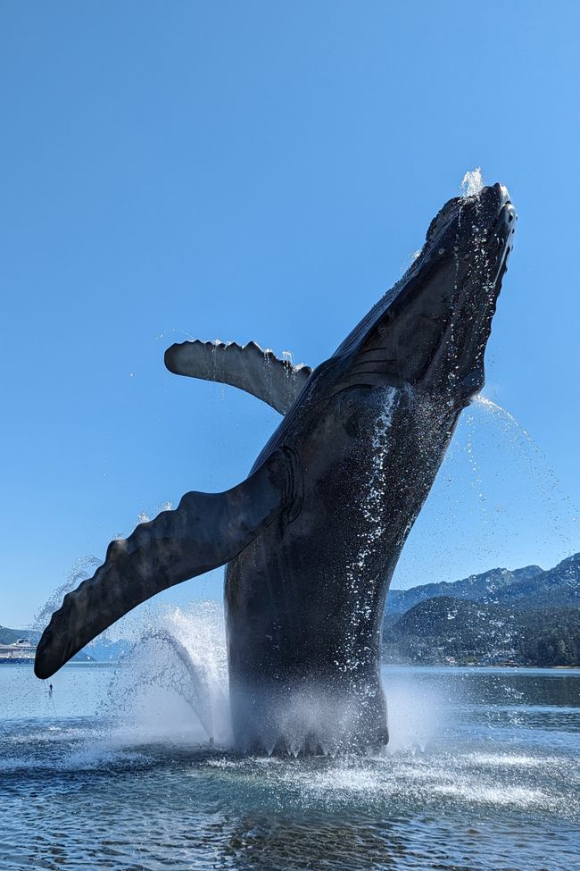 Etiqueta 24: Viaje a Juneau: Erupción de glaciares y 20.000 turistas