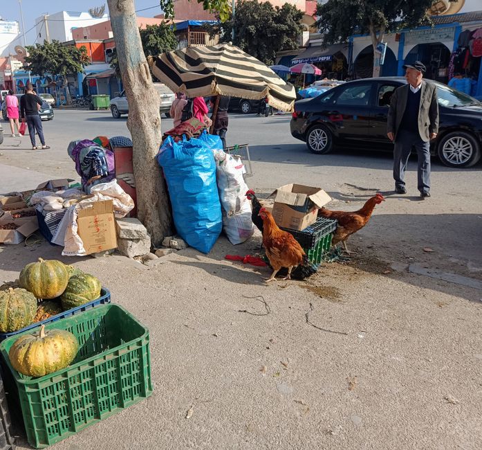 Surfen. Haut. Selbstbewusstsein.