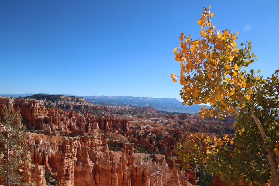 Bryce Canyon