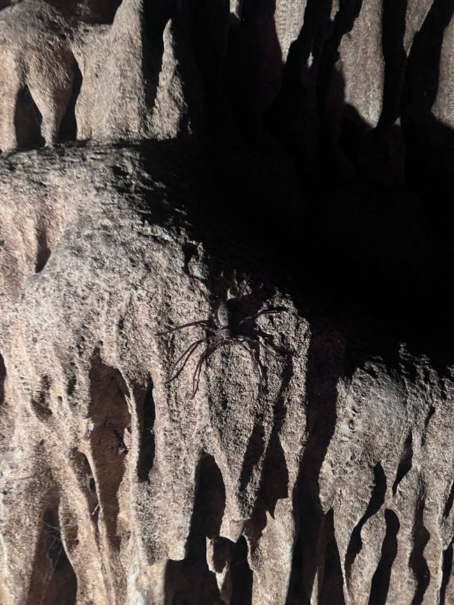 Cave 