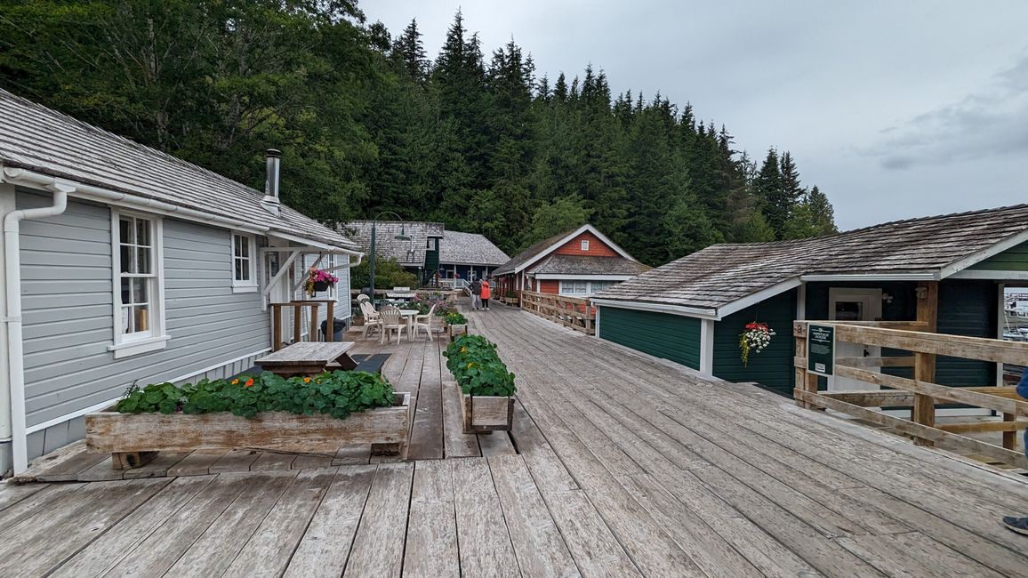 Day 11: Strathcona PP - Telegraph Cove - Alder Bay