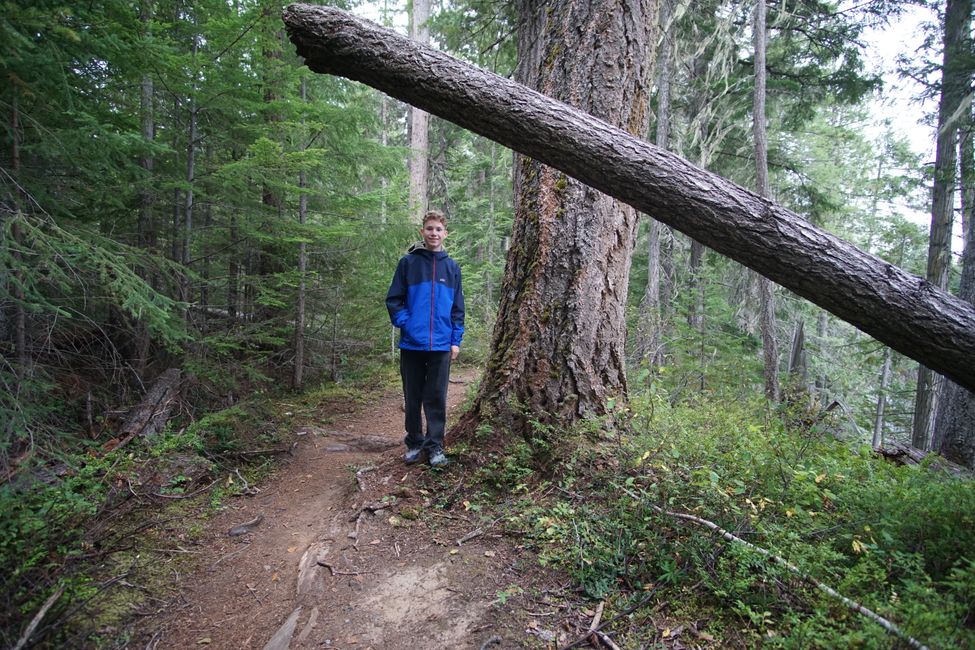 Tag 12: Die Vau Des wandern