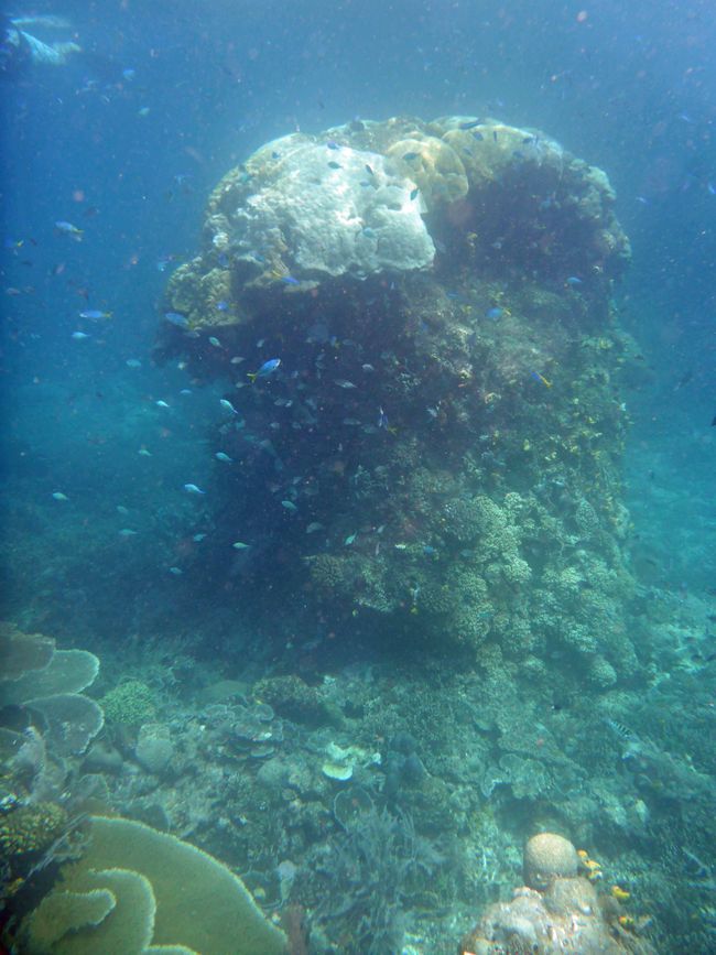 Waiag, Raja Ampat, Indonesia