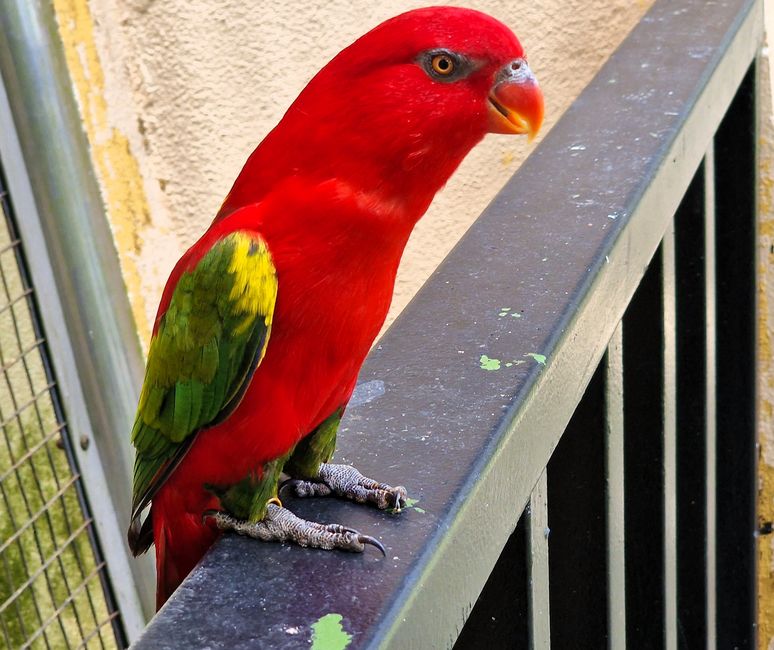 Bird Park