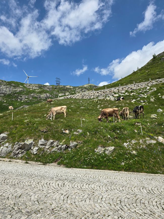 Start in den Urlaub am Gardasee