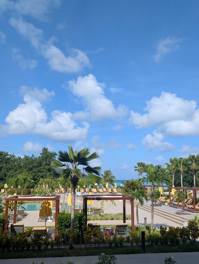 Aufgewacht im Paradies🏝️