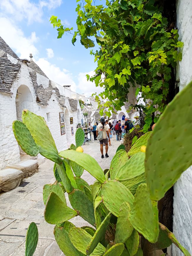 Alberobello, die Stadt aus weißen Zipfelmützen