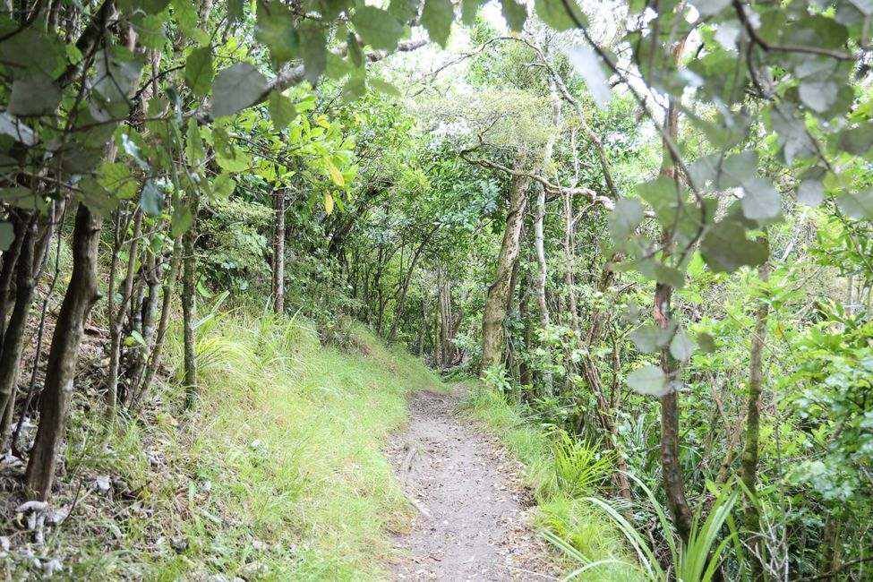 Abel Tasman