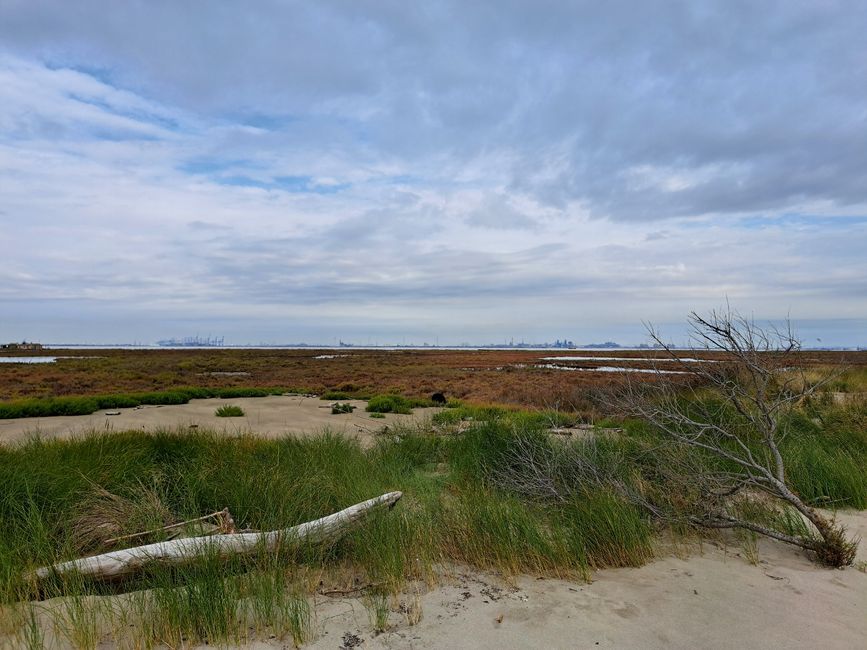 Blick in die Garrigue