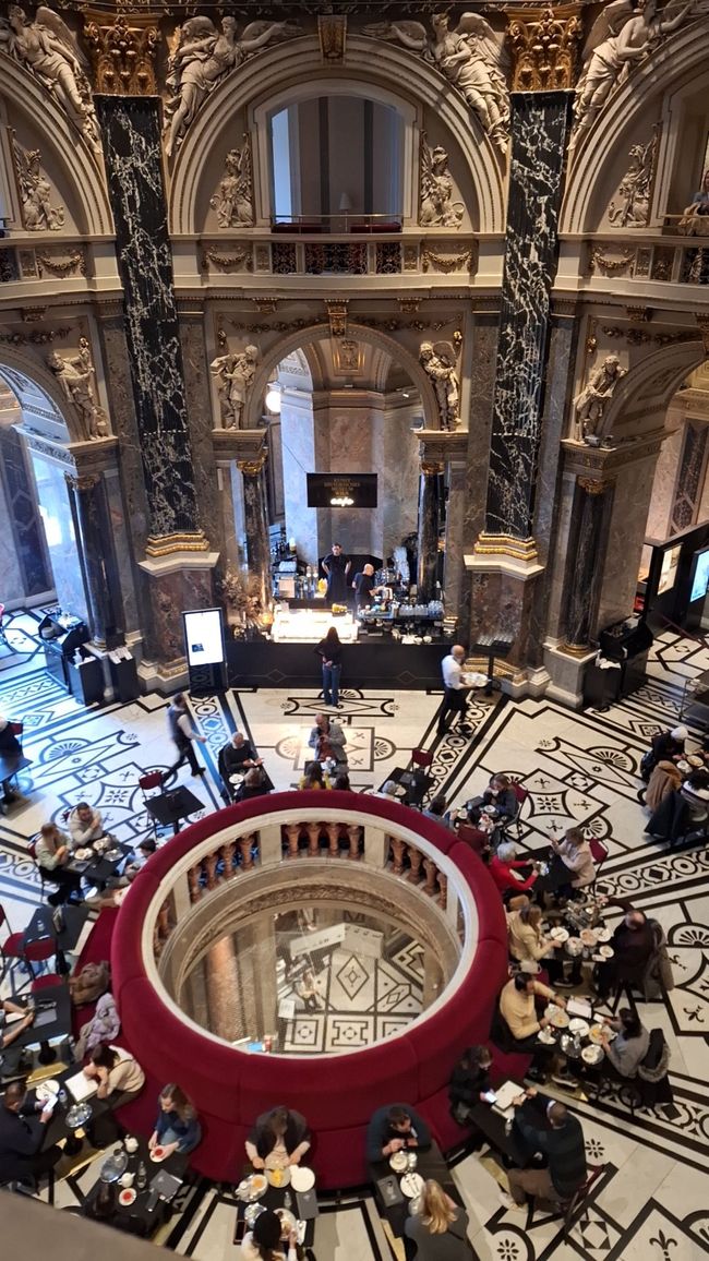 Cafe - Art History Museum