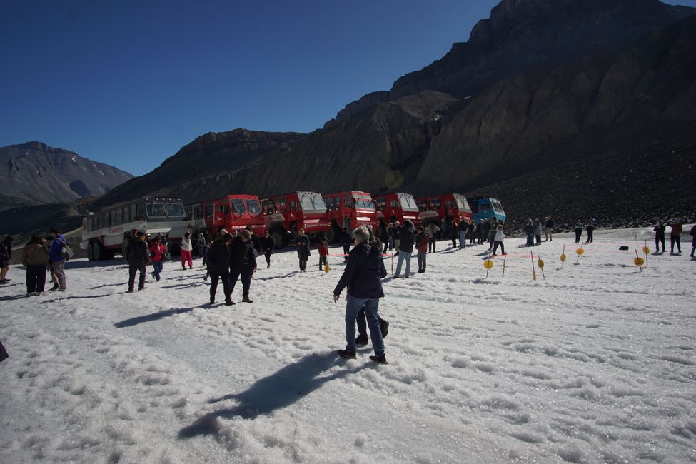 Tag 8 : Poursuite du voyage vers Jasper