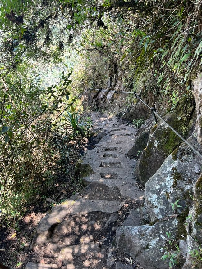 👷‍♂️标签 31-1 (3.11.) 马丘比丘，登上惠纳比丘山