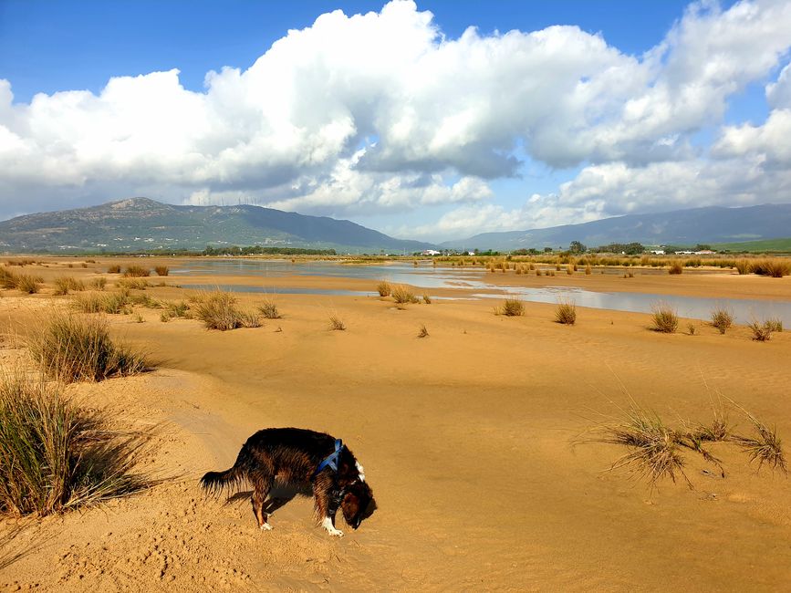 Verso il nostro quartier invernale... Tarifa, stiamo arrivando 60A