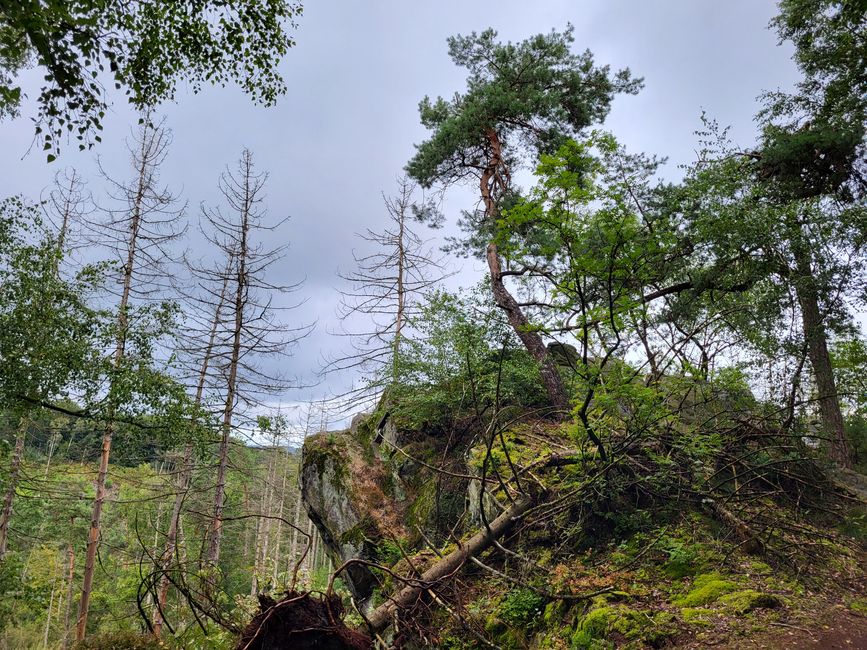 Wanderung zu den Dörenther Klippen