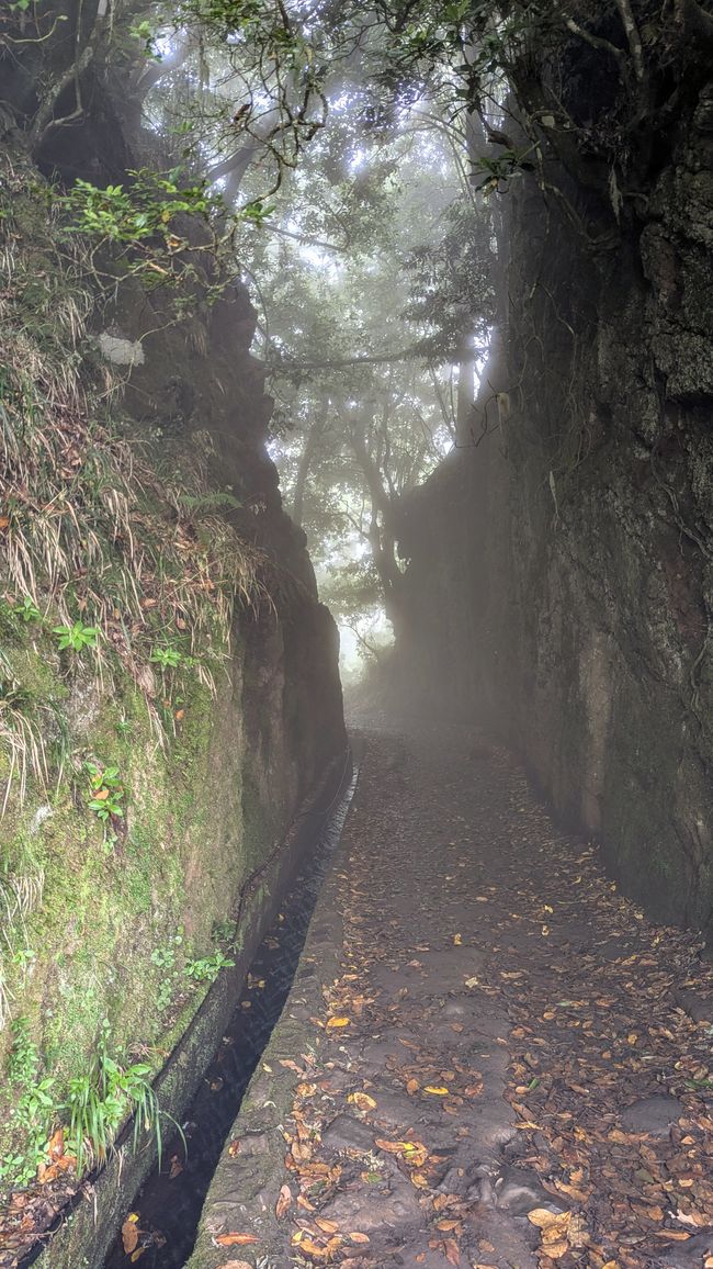 Tag 12: Dem Himmel so nah -  Pico do Areeio
