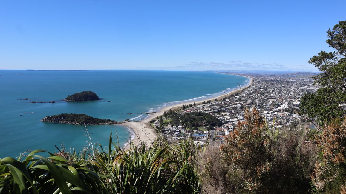 Ausblick vom Mount Maunganui