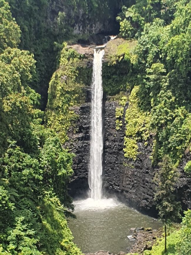 47. Tag Apia, Samoa 10.01.2026