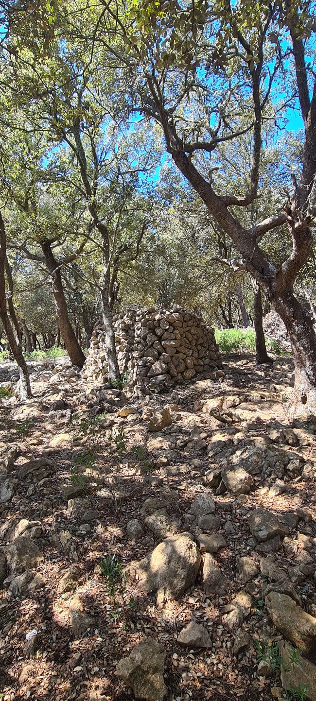 Der kernige Anstieg von Valldemosa nach Deja