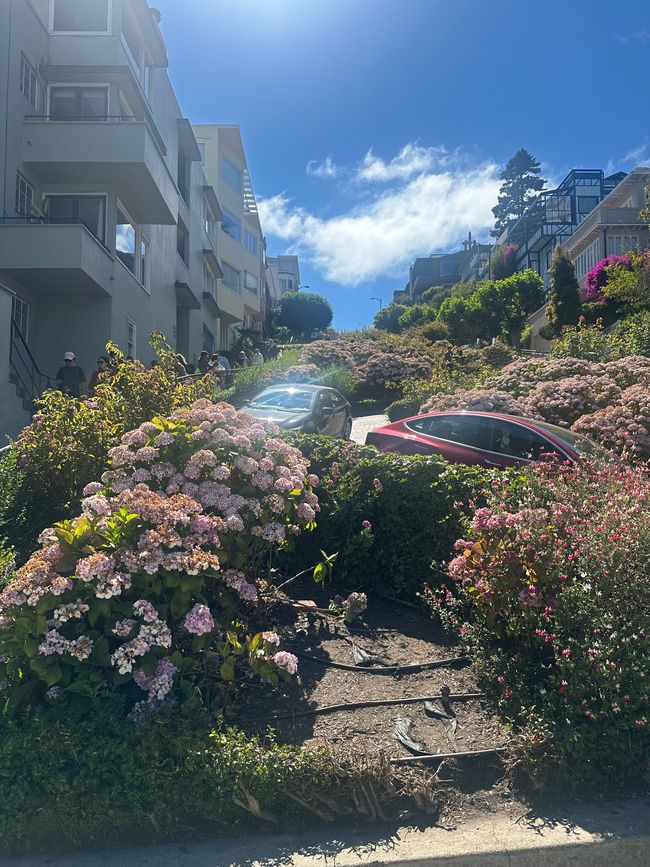 San Francisco 
