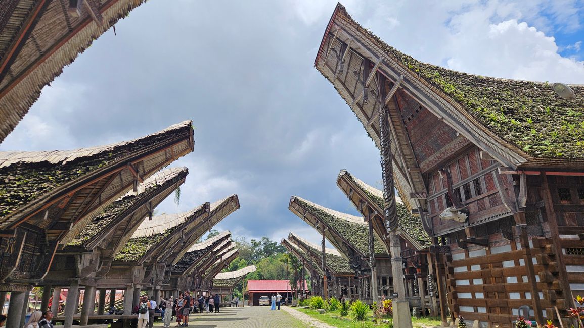 Tana Toraja