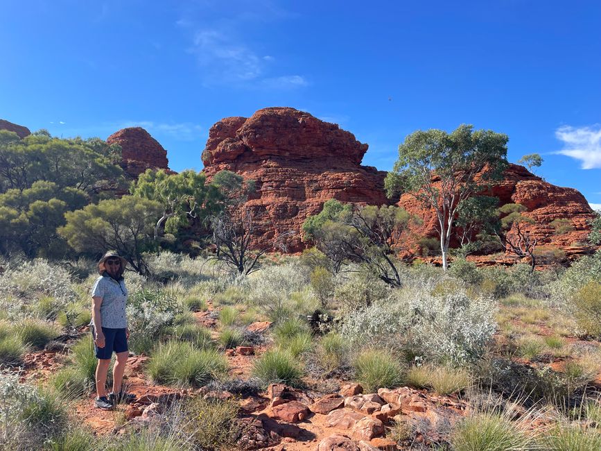 Even at the top of the canyon rim, there is always plenty of vegetation