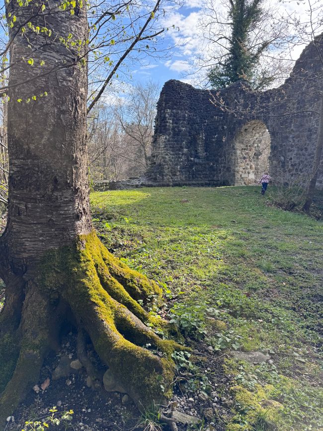 Schottisches Südamerika