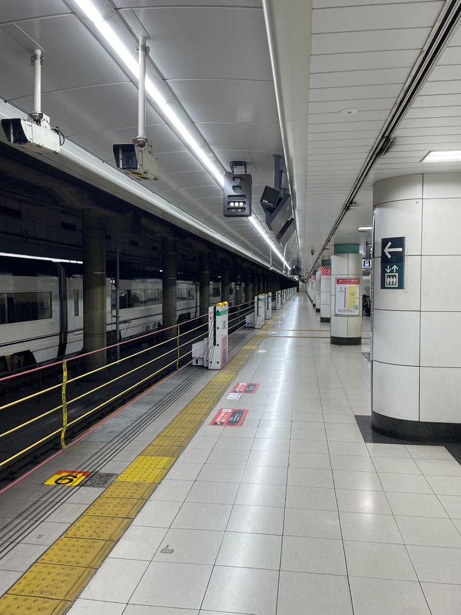 Haltestelle Narita-Express 