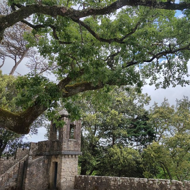 Sintra