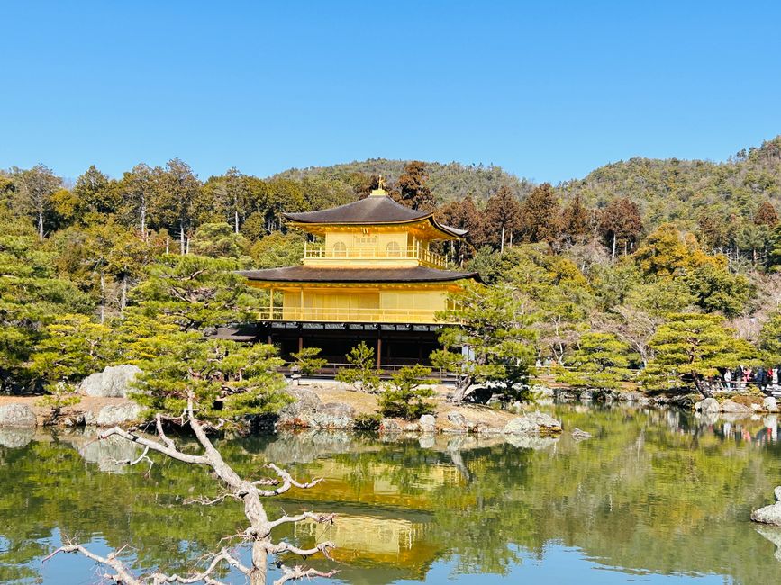 Kyoto - Days 6-9