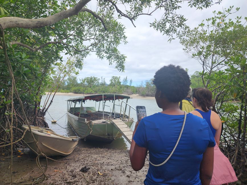 Tag 29, 23. Mai, Daintree