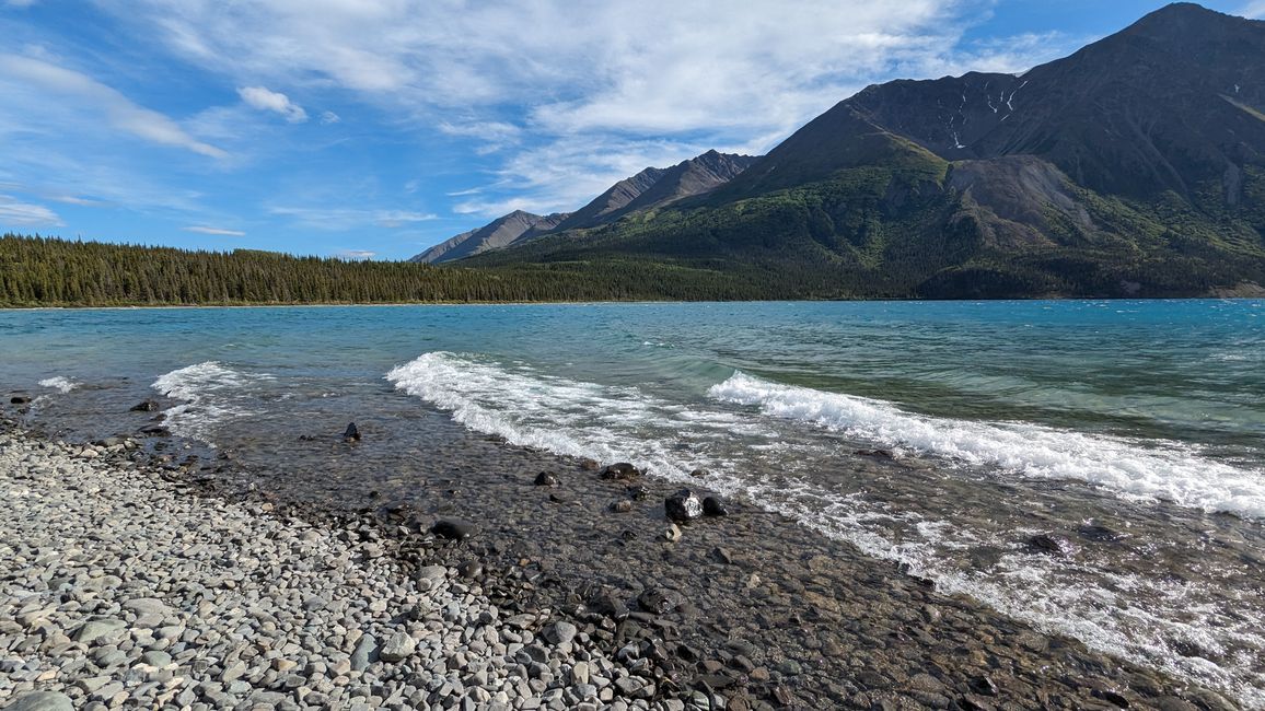 Tag 27: Bärenshow & fantastische Bergwelten - zurück nach Yukon/Kanada