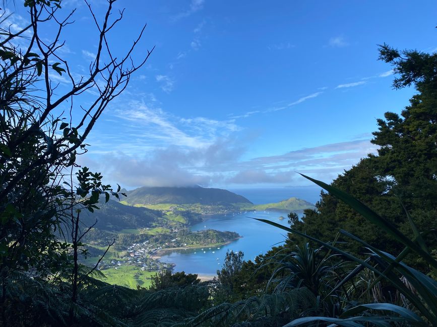 De whangarei à auckland